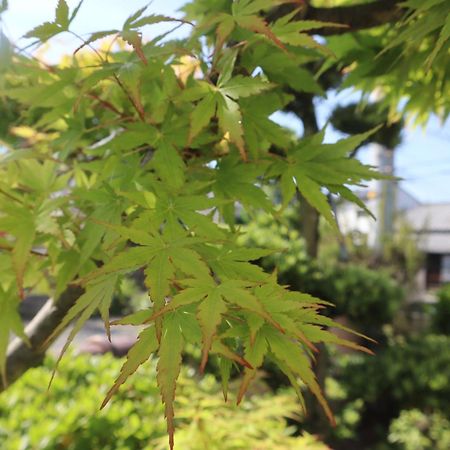 立花荘 Villa Matsuyama  Exterior photo